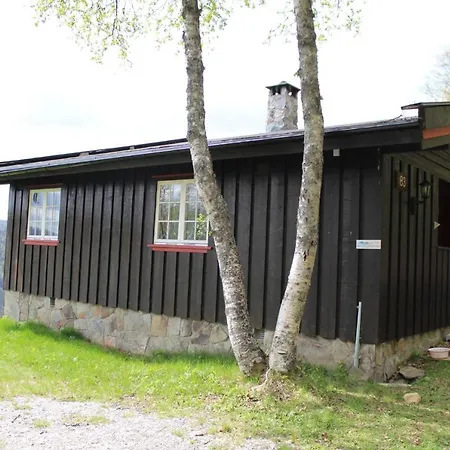 Bjørkebu - 8 Person Cabin Feriehus Al